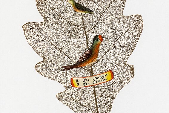 Skelettiertes Eichenblatt, darauf sind zwei bunte Vögel und ein Streifen Papier geklebt, auf dem steht unleserlich "3 in Herzen, 3 in Sinn"